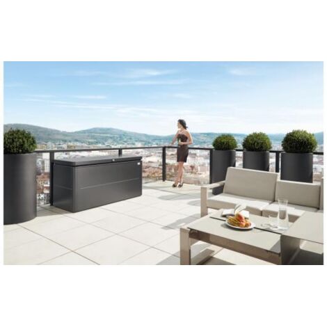 ARCON BAUL METALICO BIOHORT LOUNGEBOX 200 COLOR PLATA METALIZADA