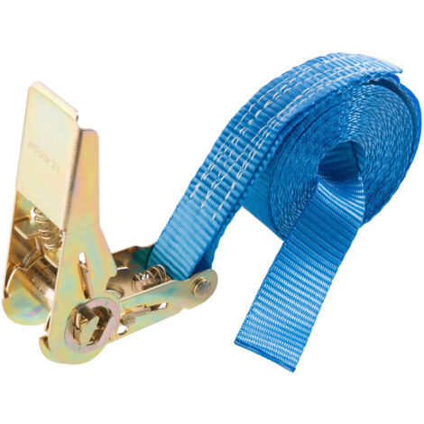 AREBOS 10x Cinghie a cricchetto 6 m, 800 kg, larghezza 25 mm per carichi pesanti