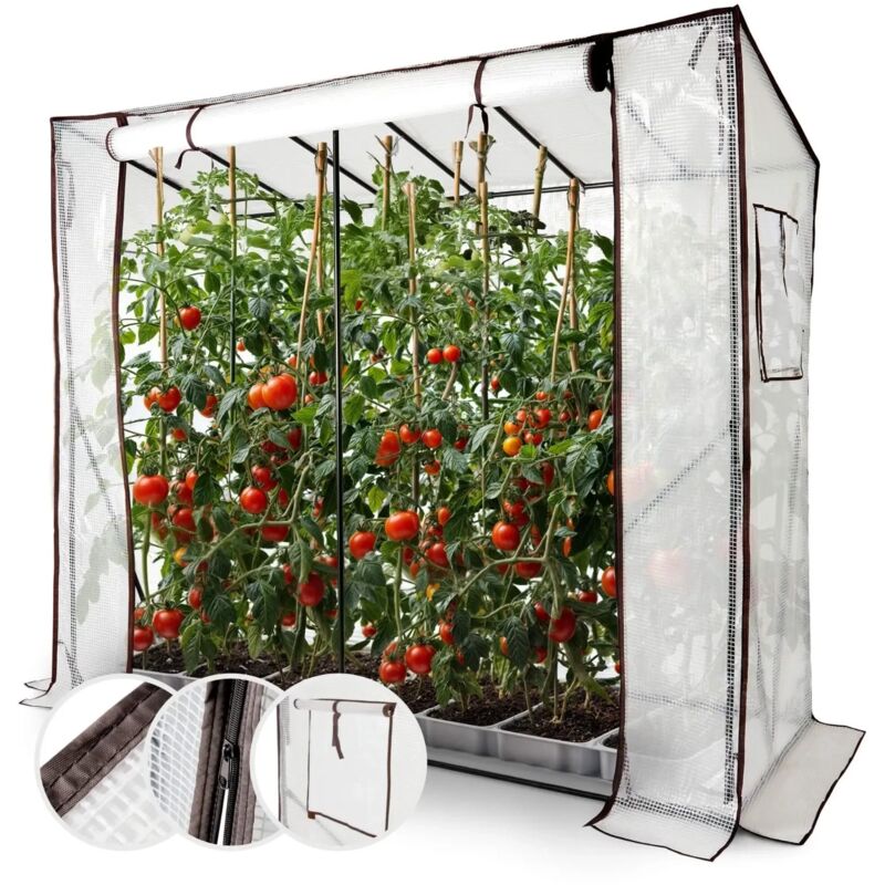 Serre à tomates en film plastique avec 2 fenêtres d'aération grande serre serre à tomates, serre avec porte à enrouler 200x77x170 cm châssis de