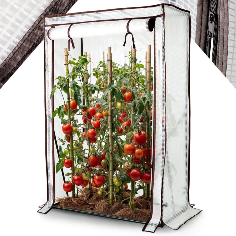 Serre à tomates en Film Plastique Petite Serre Serre à tomates, Serre avec Porte à Enrouler 100 x 50 x 150 cm Couche précoce, légumes, Fleurs,