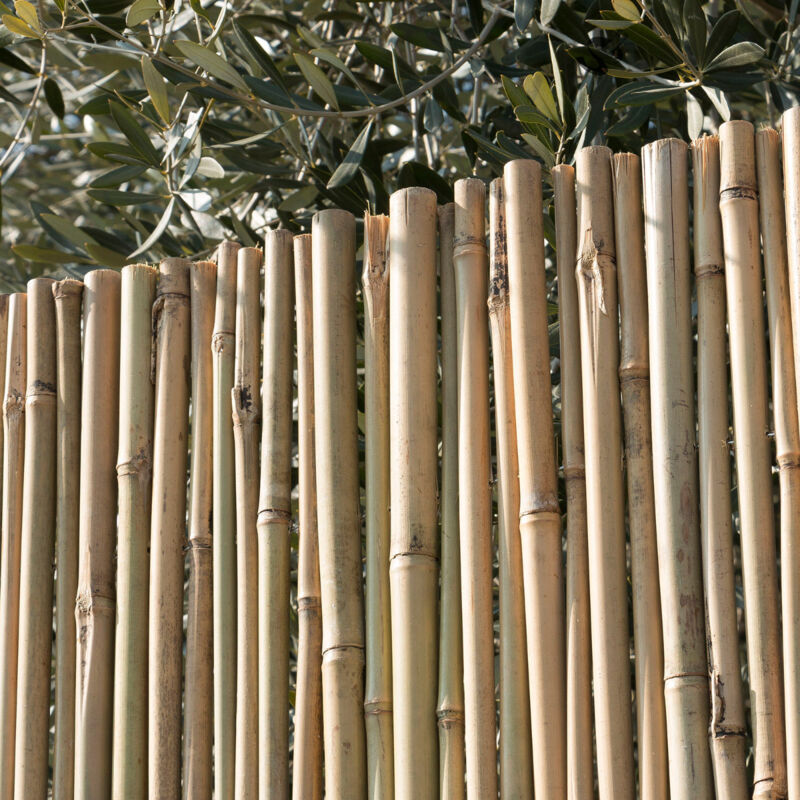 Arella Canna Passante Recinzione Coperture Divisori Ombreggiante 25...