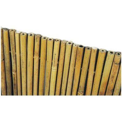 ARELLA STUOIA BAMBOO MEDIA STARS