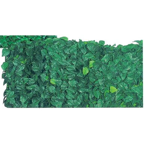 Arelle Semper Verdi Lauro MT. 1.50X20
