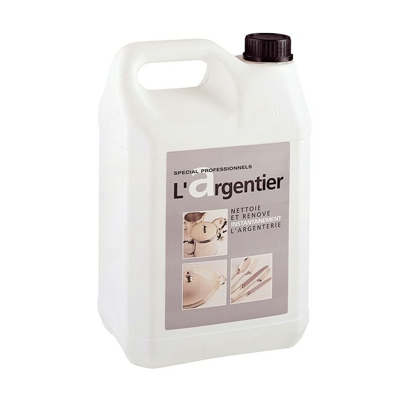 Argentier 5L - Nettoie et rénove instantanément l'argenterie