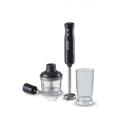 Ariete 0601/10 Frullatore ad Immersione 0,6 L Potenza 700 W Grigio