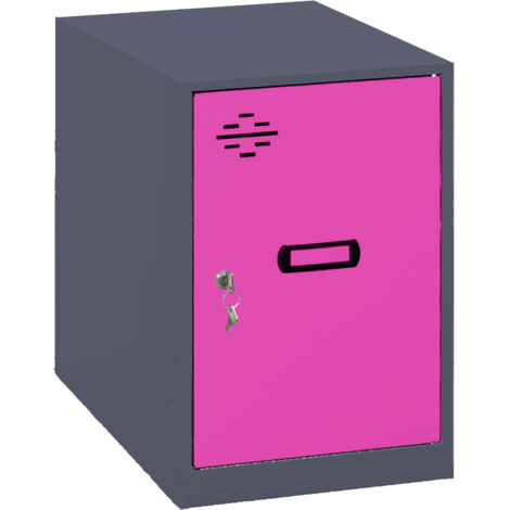 Armario Taquilla Simonlocker dism. Mini 475x400x500 mm ant/ros