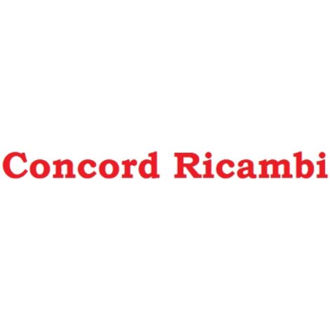 Armature de rechange Concord pour perceuse A percussion rotative 800W