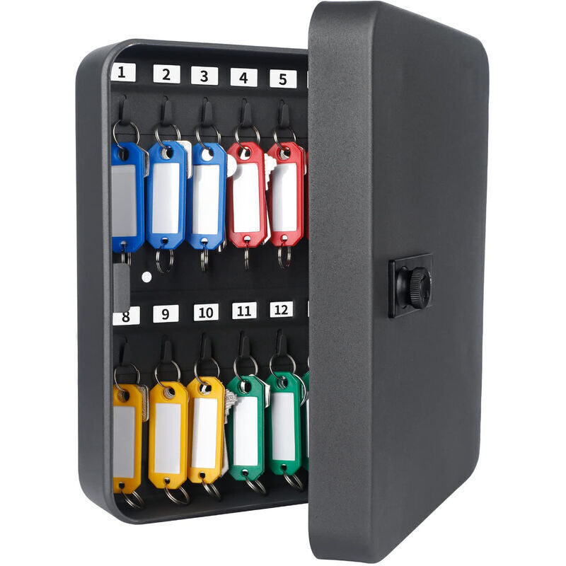 Armoire à clés en Acier à 28 clés avec Serrure à Combinaison Organiseur avec boîte numérique à Code réinitialisable et Porte-clés 4 Couleurs--
