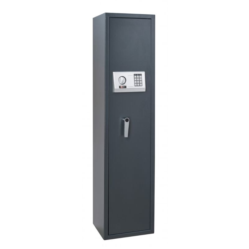 Thirard - Armoire à fusils cardiff fermeture par code - 13285