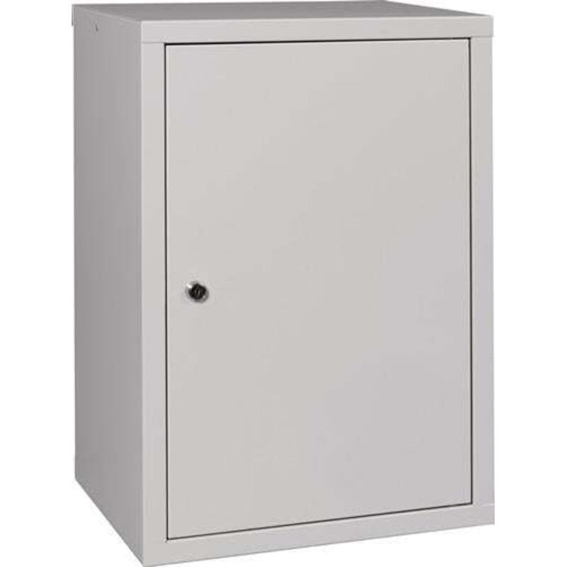 Armoire suspendue H 600 x L 400 x P 300 mm tôle pleine 1 fond gris - NW9000453656