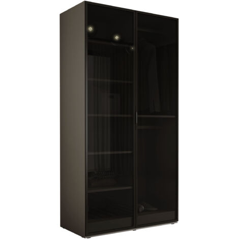 Armoire : Gris Platine / Verre Antisol, 100 x 200 x 51 cm