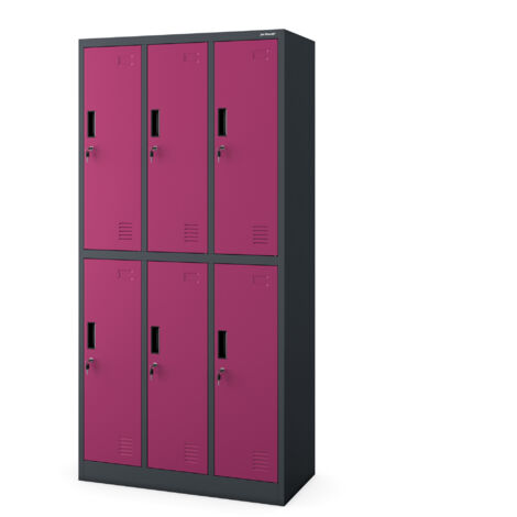 Armoire vestiaire pour vêtements de travail, 6 portes IGOR, 900 x 1850 x 450 mm, fuchsia anthracite