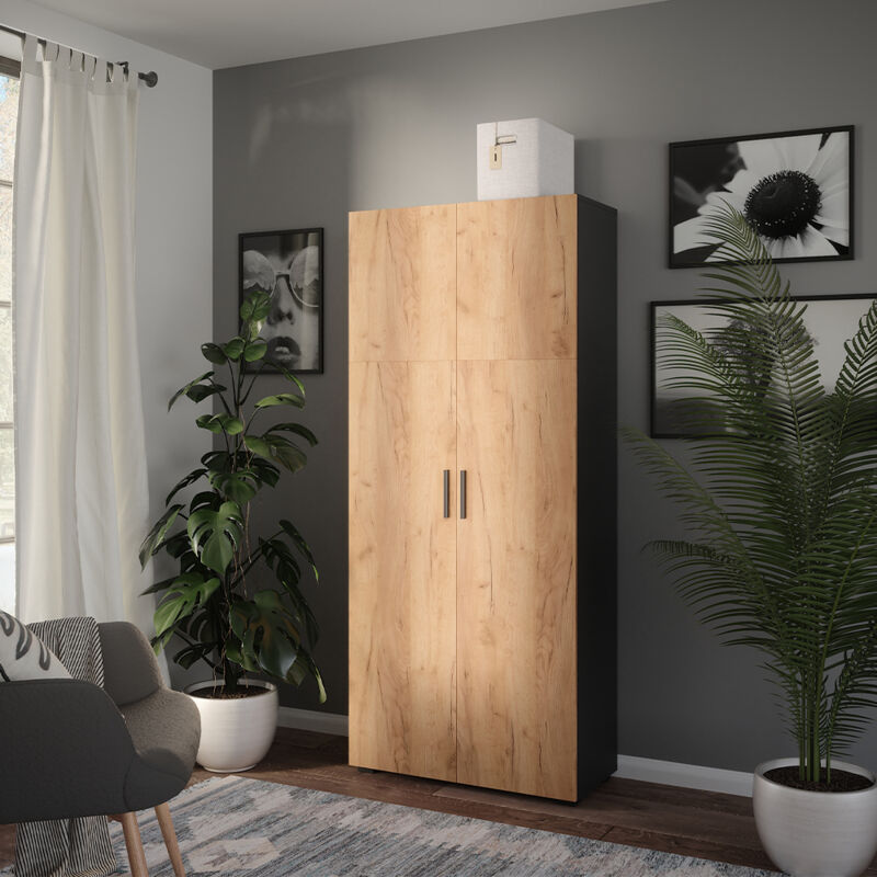 Armoire universelle Ingo, Anthracite/chêne doré, 80x183.8cm, Vicco