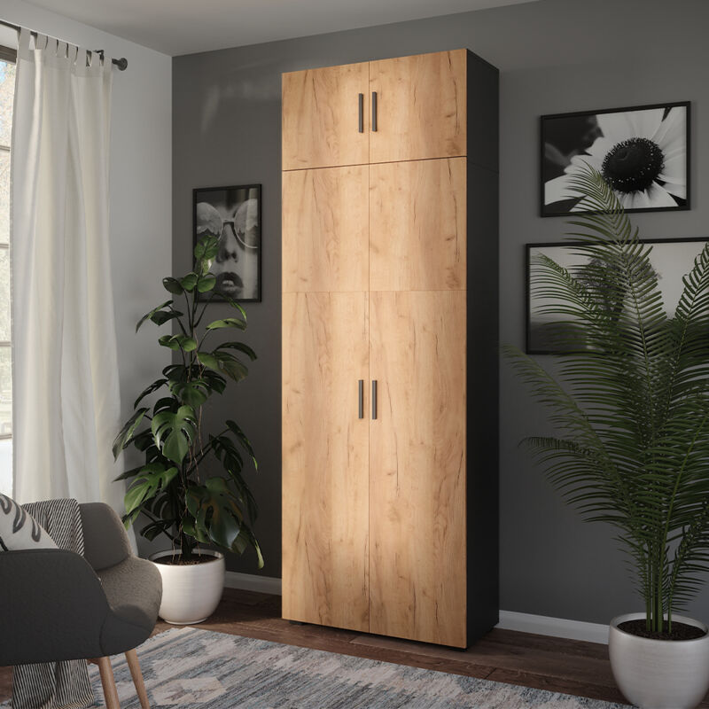 Armoire universelle Ingo, Anthracite/chêne doré, 80x223.8cm avec fixation d'armoire, Vicco