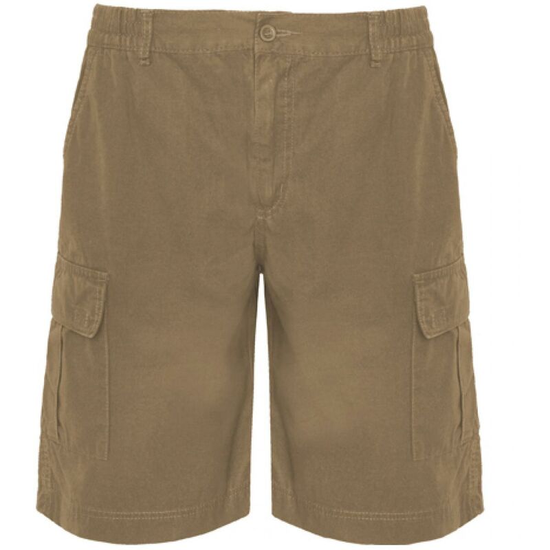 

Pantalón Laboral Corto Armour BE67250102 CAMEL XXXL