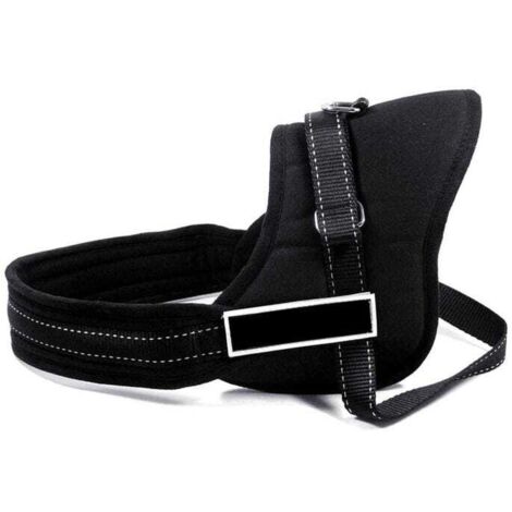 Arnés acolchado ajustable para perros para entrenamiento  Negro - S