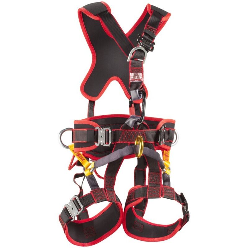 Arnes anticaida front/dorsal