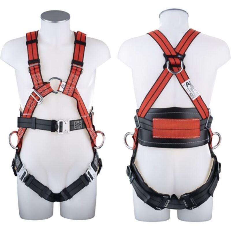 

Arns 400 Quick Exclusiv Plus En361 En358 4 Puntos, 170 - MAS