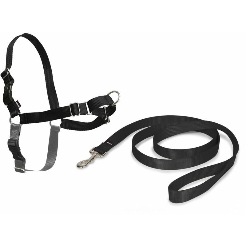 

Arnés para Perros Negro M - Negro - Petsafe