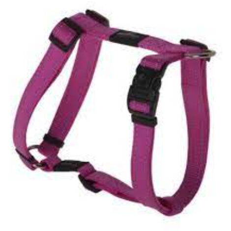 Arnes-H Fanbelt T-L Pink