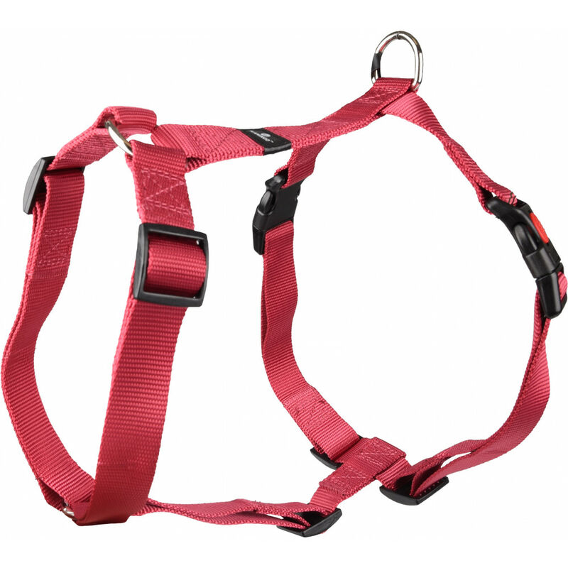 

Arnés H Ziggi rojo cereza. Tamaño del cuello 60 -85 cm. 25 MM . tamaño XXL. para perro.