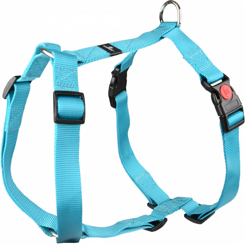 

Arnés H Ziggi turquesa. Tamaño del cuello 60 -85 cm. 25 MM . tamaño XXL. para perro.