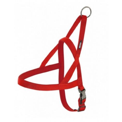 ARNÉS NEOPRENO ROJO 25mm x 70-80cm