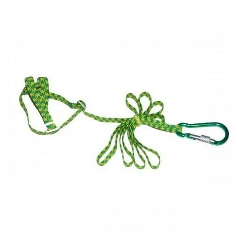 NINFASWEB Arnes para agapornis, forpus y periquitos NINFAS WEB, colores surtidos