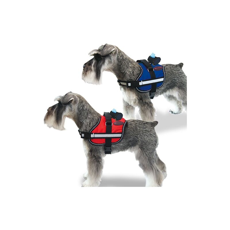 

Arnés Active ARNÉS ROJO L