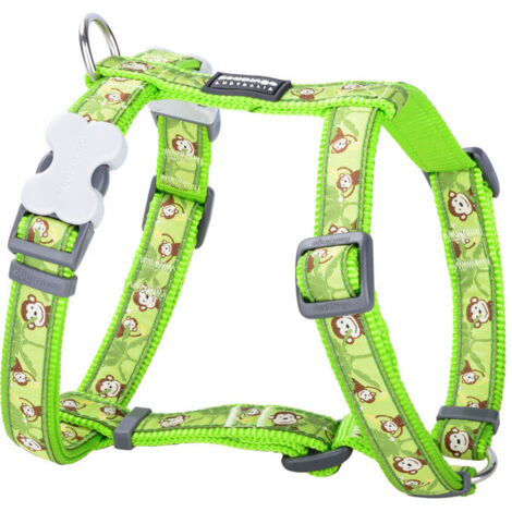 Arnés para Perro Red Dingo Monkey 25-39 cm Verde