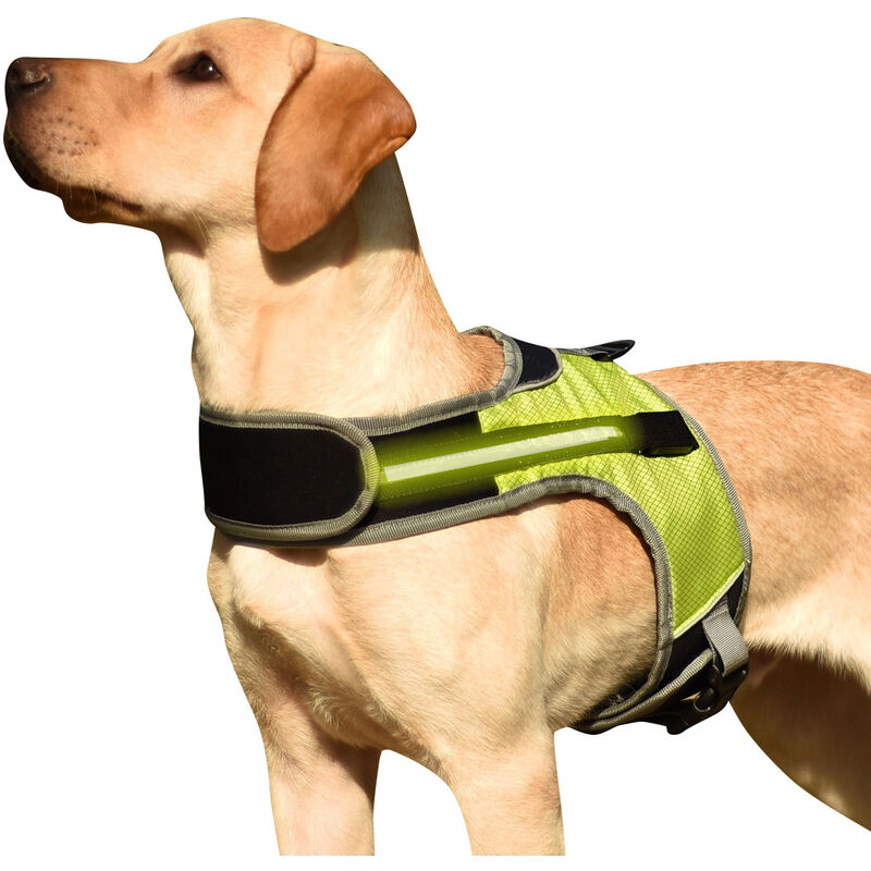 

Arnes para perros Chaleco acolchado comodo ajustable reflectante con luz LED para perro mediano grande, Verde con Luz, Grande