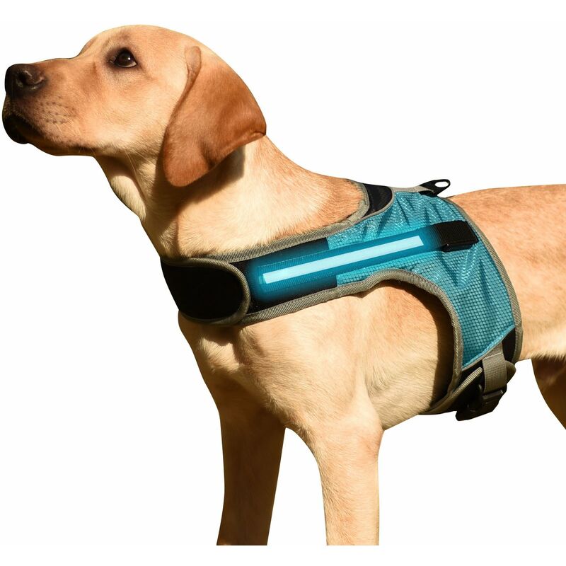 

Arnes para perros Chaleco acolchado comodo ajustable reflectante con luz LED para perro mediano grande,Azul con luz, XL