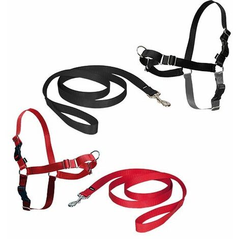 Arnés para perros PetSafe Easy-Walk incluye correa de 1.8 metros disponible en varios colores y tallas