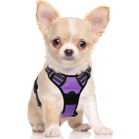 Arnés para perros talla S, color morado, antitirones, reflectante, ajustable, con gancho para correa en la parte delantera, ideal para senderismo, viajes en coche, Bulldog Francés y Pastor Australiano