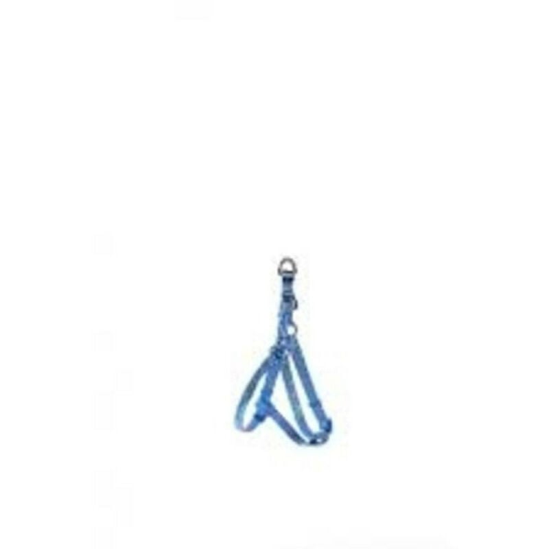 

ARNES PERRO AZUL - 15-25cm