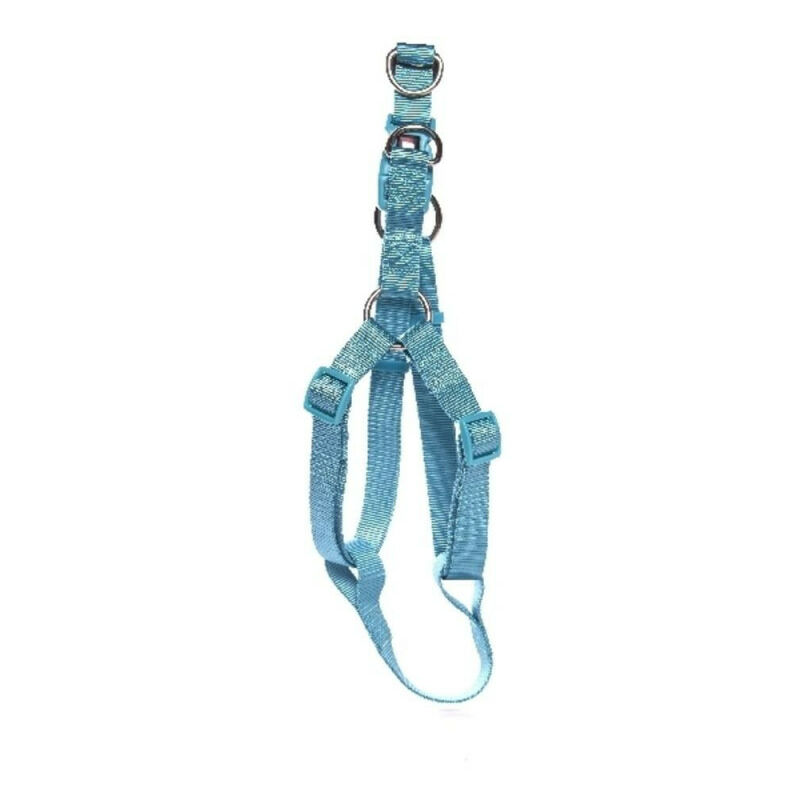

ARNES PERRO AZUL AGUAMARINA - 45-60cm