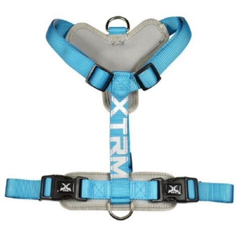 Arnes X-TRM Cronos Neon Flash Blue 25mm x 60-100 cm