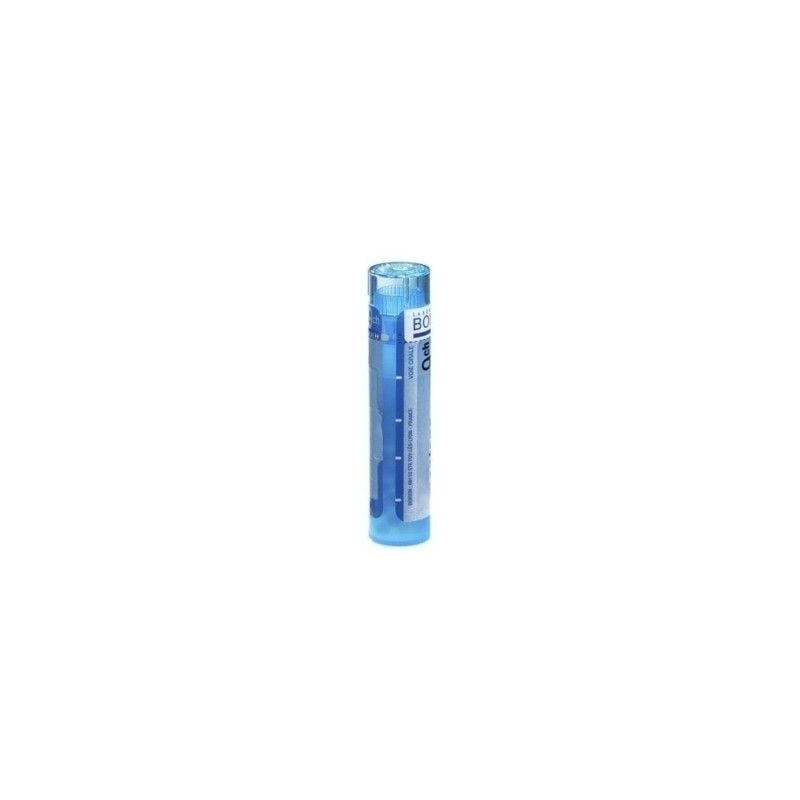 

Arnica Montana 9ch