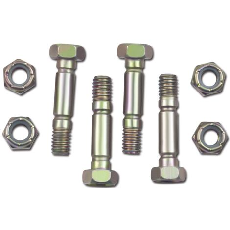 Arnold 7011-M6-0009 - Kit di bulloni di trancio MTD per spazzaneve a 2 fasi fino BJ 2004