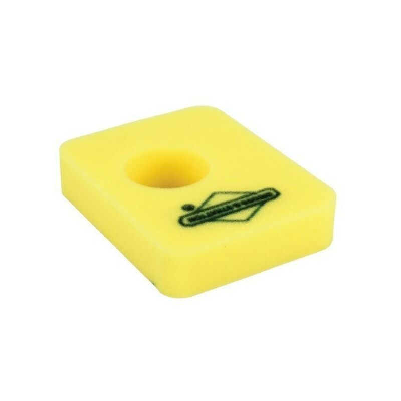 Briggs&stratton - 799579 - Filtre à Air mousse pour moteur briggs et stratton