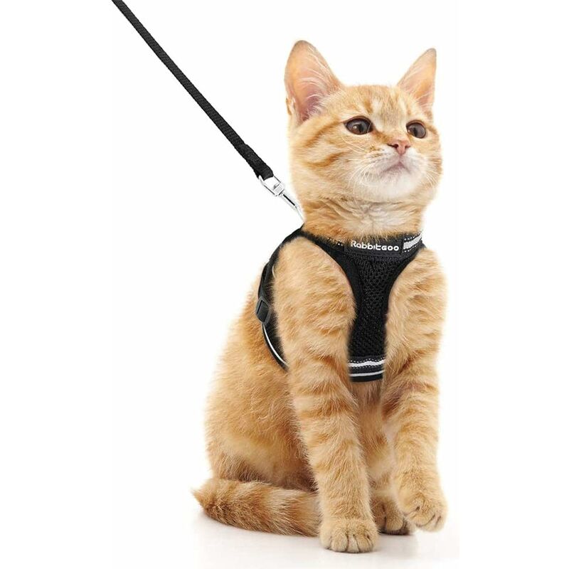 

Arnés para gatos con correa, arnés para gatitos transpirable y cinta reflectante Chaleco ajustable para perros pequeños Negro M Collar para mascotas