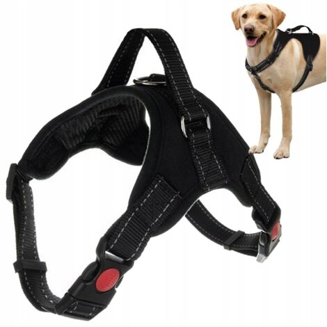 ARN脡S PARA PERRO M (120) GABA