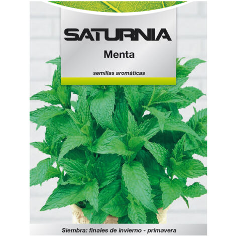 Aromatische Minzsamen (0,3 Gramm)