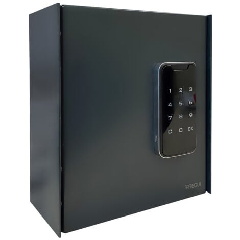 ARREGUI KEYPRO PLPRO14 Armadietto per Chiavi con 14 Ganci Serratura Elettronica Armadio di Sicurezza per Chiavi in Acciaio Facile Installazione a Parete 22x20x10 cm grigio antracite