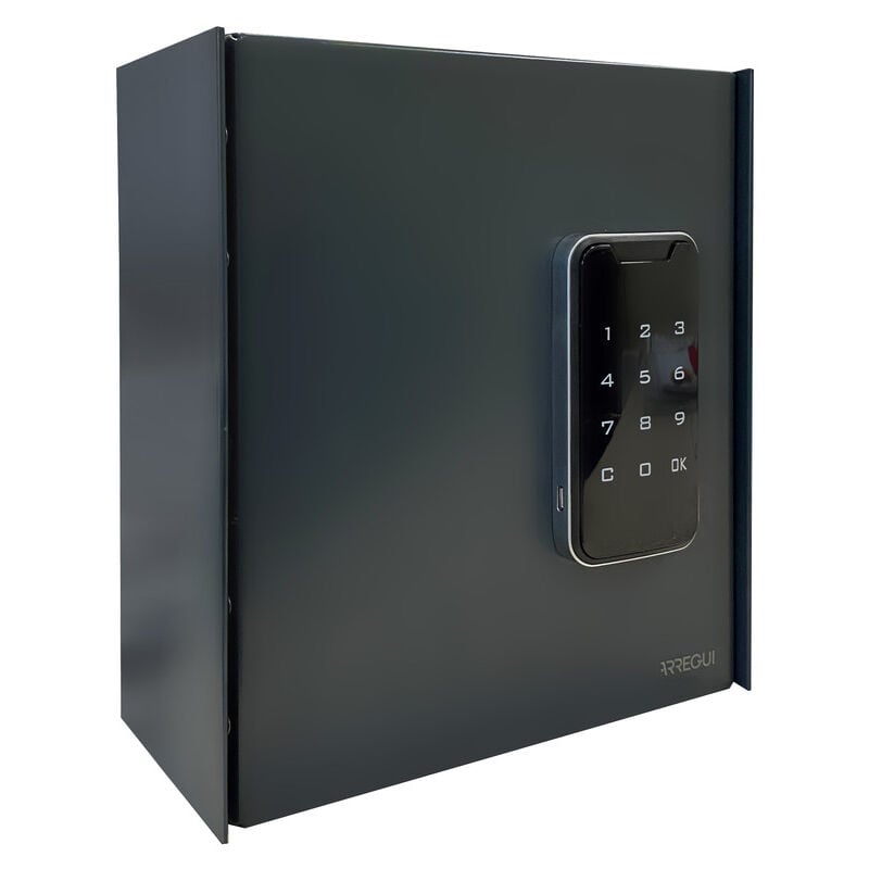 Keypro PLPRO14 Armoire à clé fermeture à code Boite à clef 14 crochets serrure electronique Armoire de sécurité usage partagé clavier tactile