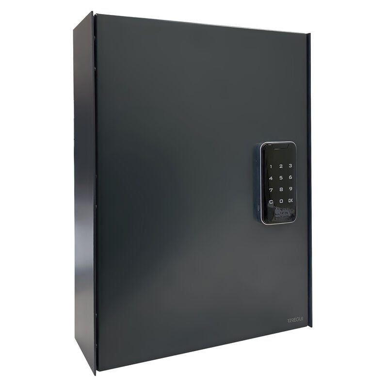 Arregui - keypro PLPRO44 Armoire à clé fermeture à code Boite à clef 44 crochets serrure electronique Armoire de sécurité usage partagé clavier