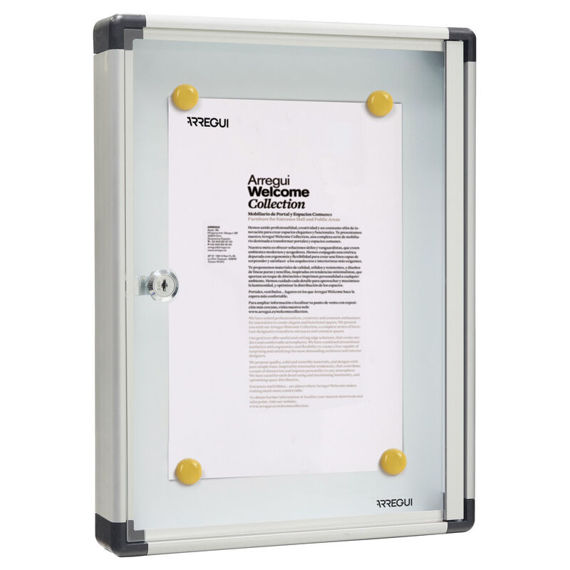 PAN52 Panneau d'affichage en aluminuim, vitrine d'affichage avec serrure à clé, fond aimanté, 8 aimants, 40 x 30 x 5 cm, format 1 x A4 Argent