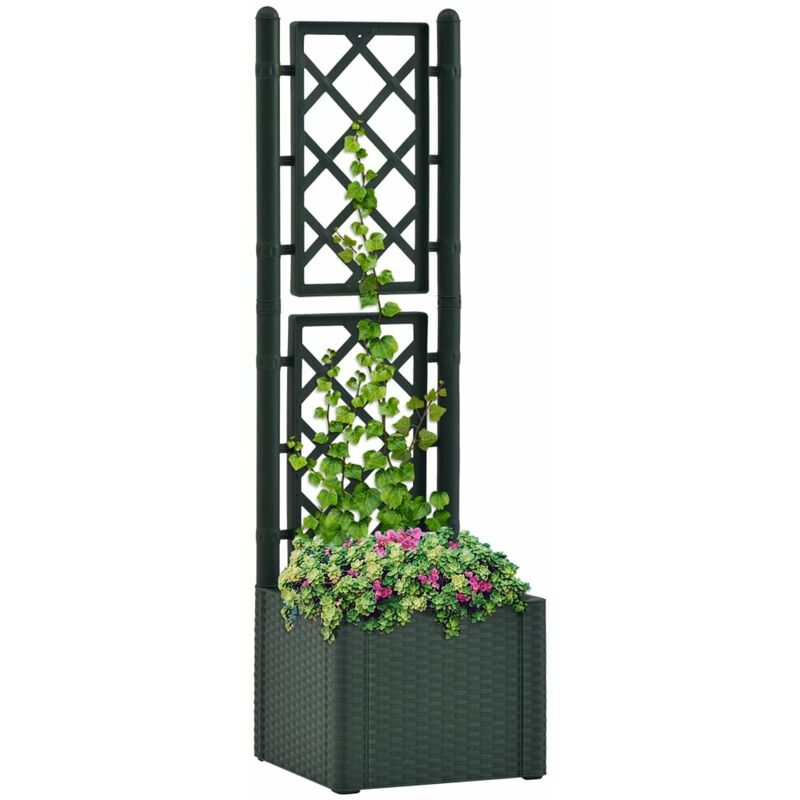 

Arriate con enrejado y sistema de riego automatico verde