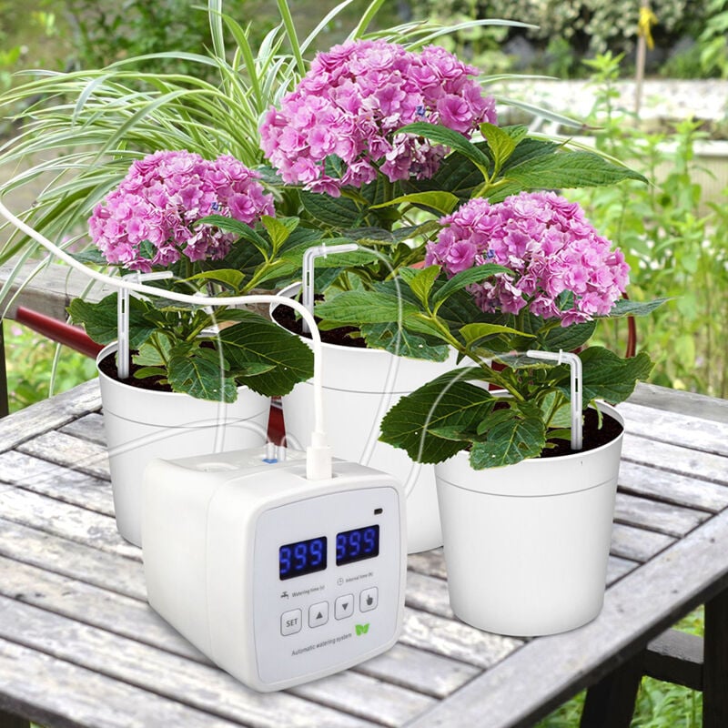 Sjlerst - Arrosage automatique 10 pots blanc plantes succulentes balcon