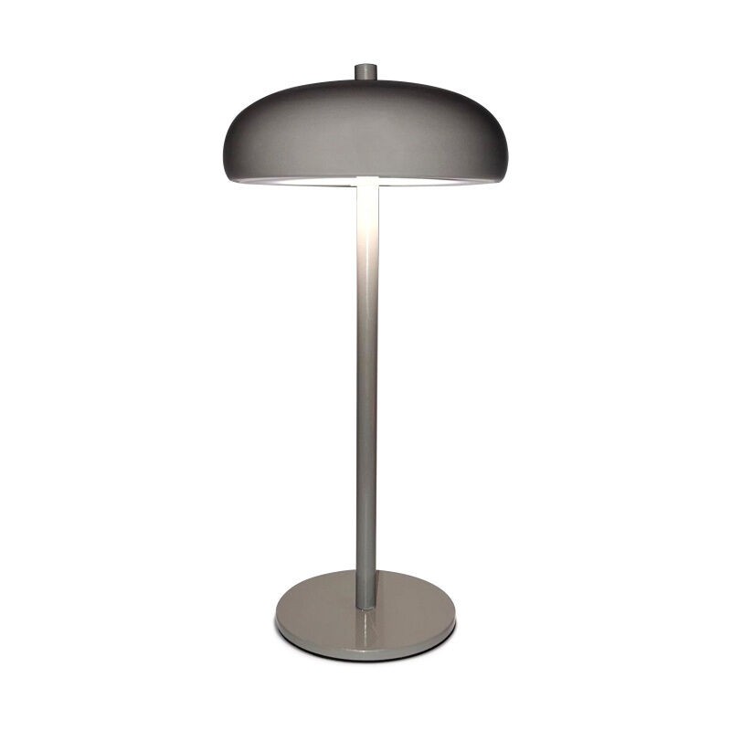 Lampe de chevet champignon 5 W 150 lm pour salon, chambre à coucher, veilleuse décorative avec variateur pour les yeux, batterie intégrée de 3 600